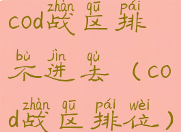 cod战区排不进去(cod战区排位)