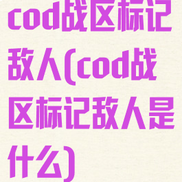 cod战区标记敌人(cod战区标记敌人是什么)