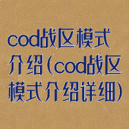 cod战区模式介绍(cod战区模式介绍详细)
