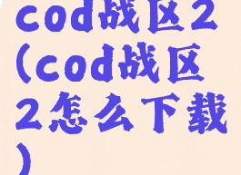 cod战区2(cod战区2怎么下载)