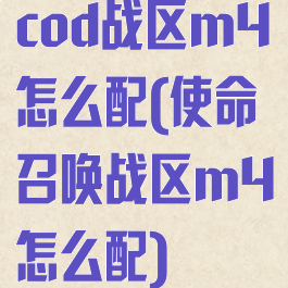 cod战区m4怎么配(使命召唤战区m4怎么配)