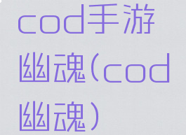 cod手游幽魂(cod幽魂)