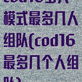 cod16多人模式最多几人组队(cod16最多几个人组队)