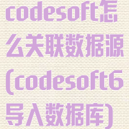 codesoft怎么关联数据源(codesoft6导入数据库)