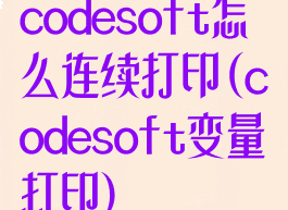 codesoft怎么连续打印(codesoft变量打印)