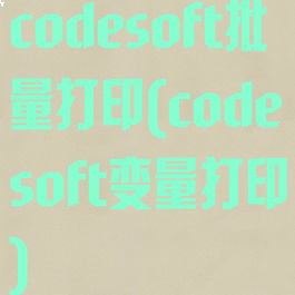 codesoft批量打印(codesoft变量打印)