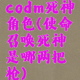 codm死神角色(使命召唤死神是哪两把枪)