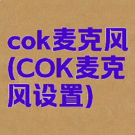 cok麦克风(COK麦克风设置)