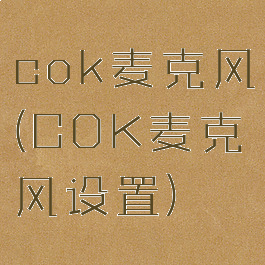 cok麦克风(COK麦克风设置)