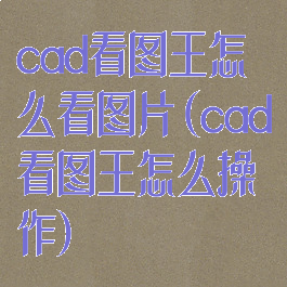 cad看图王怎么看图片(cad看图王怎么操作)