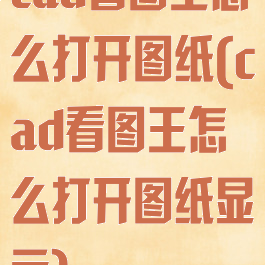 cad看图王怎么打开图纸(cad看图王怎么打开图纸显示)