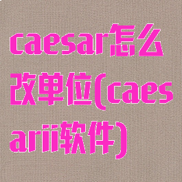 caesar怎么改单位(caesarii软件)