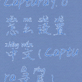 captura9.0怎么设置中文(captura录屏)