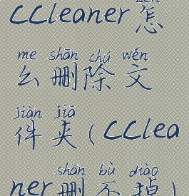 ccleaner怎么删除文件夹(ccleaner删不掉)