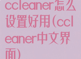 ccleaner怎么设置好用(ccleaner中文界面)