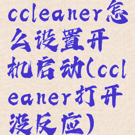 ccleaner怎么设置开机启动(ccleaner打开没反应)