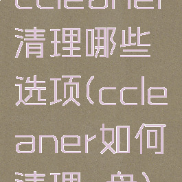 ccleaner清理哪些选项(ccleaner如何清理c盘)