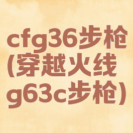 cfg36步枪(穿越火线g63c步枪)