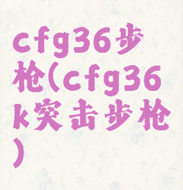cfg36步枪(cfg36k突击步枪)