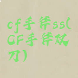 cf手斧ss(CF手斧双刀)
