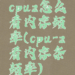 cpuz怎么看内存频率(cpu-z看内存条频率)