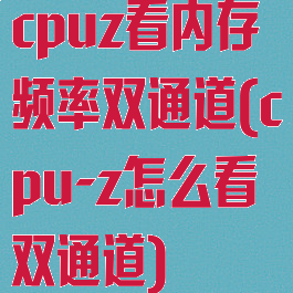 cpuz看内存频率双通道(cpu-z怎么看双通道)