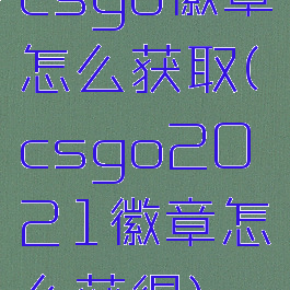 csgo徽章怎么获取(csgo2021徽章怎么获得)