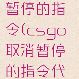 csgo取消暂停的指令(csgo取消暂停的指令代码)