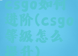 csgo如何进阶(csgo等级怎么提升)