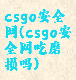 csgo安全网(csgo安全网吃磨损吗)