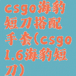 csgo海豹短刀搭配手套(csgo1.6海豹短刀)