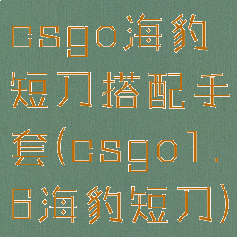 csgo海豹短刀搭配手套(csgo1.6海豹短刀)