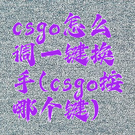 csgo怎么调一键换手(csgo按哪个键)