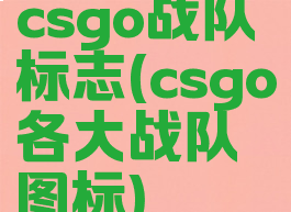 csgo战队标志(csgo各大战队图标)