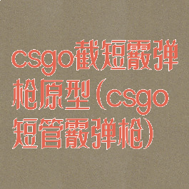 csgo截短霰弹枪原型(csgo短管霰弹枪)