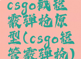 csgo截短霰弹枪原型(csgo短管霰弹枪)