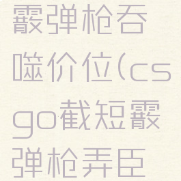 csgo截短霰弹枪吞噬价位(csgo截短霰弹枪弄臣之颅)