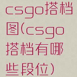 csgo搭档图(csgo搭档有哪些段位)