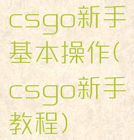 csgo新手基本操作(csgo新手教程)