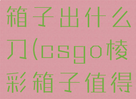 csgo棱彩箱子出什么刀(csgo棱彩箱子值得开吗)