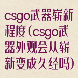 csgo武器崭新程度(csgo武器外观会从崭新变成久经吗)