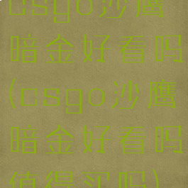 csgo沙鹰暗金好看吗(csgo沙鹰暗金好看吗值得买吗)