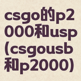 csgo的p2000和usp(csgousb和p2000)