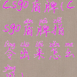 csgo盾牌(csgo盾牌指令出来怎么用)