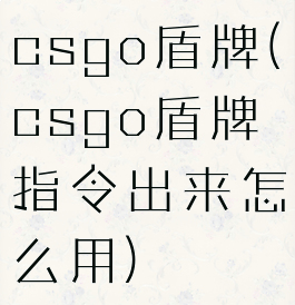 csgo盾牌(csgo盾牌指令出来怎么用)
