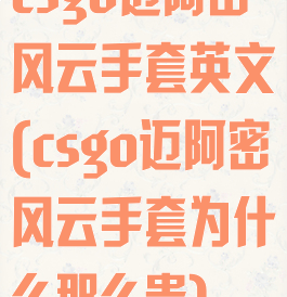 csgo迈阿密风云手套英文(csgo迈阿密风云手套为什么那么贵)