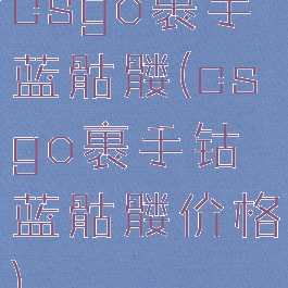 csgo裹手蓝骷髅(csgo裹手钴蓝骷髅价格)