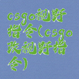 csgo视野指令(csgo改视野指令)