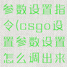 csgo设置参数设置指令(csgo设置参数设置怎么调出来)