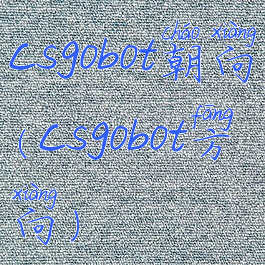 csgobot朝向(csgobot方向)